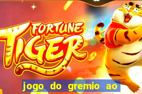 jogo do gremio ao vivo hd